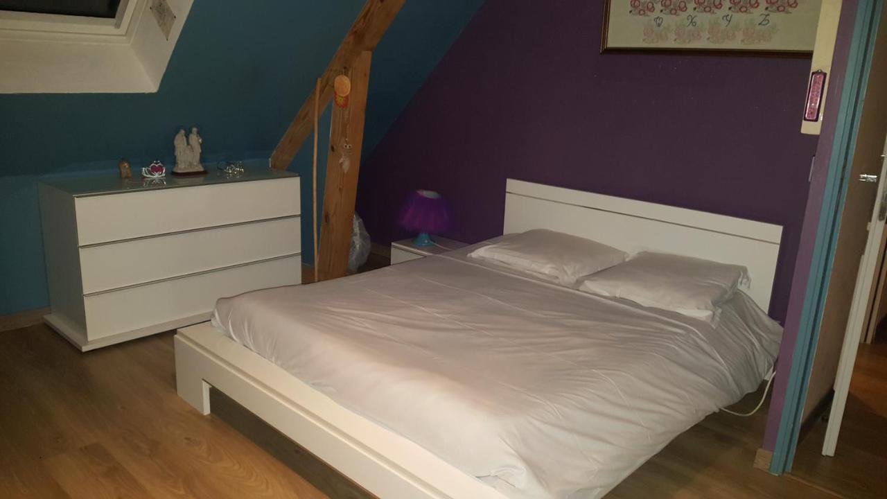 Chambre d'hôtes chez l'habitant Montlouis-sur-Loire Extérieur photo